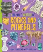 Anna Claybourne, Claybourne Anna, Yekyung Kwon - A Whole World of...: Rocks and Minerals