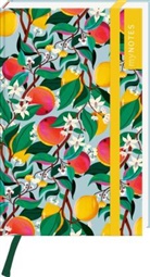 Maïté Franchi - myNOTES Papeterie: Notizbuch A6 Farben des Sommers