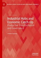 Arkebe Oqubay - Industrial Hubs and Economic Catch-Up