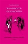 Theodor Storm - Weihnachtsgeschichten