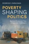 Rodrigo Zarazaga, Rodrigo (Instituto Universitario Cias) Zarazaga - Poverty Shaping Politics