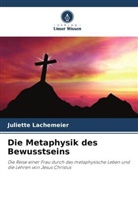 Juliette Lachemeier - Die Metaphysik des Bewusstseins