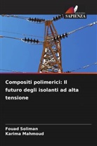 Karima Mahmoud, Fouad Soliman - Compositi polimerici: Il futuro degli isolanti ad alta tensione