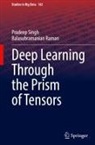 Balasubramanian Raman, Pradeep Singh - Deep Learning Through the Prism of Tensors