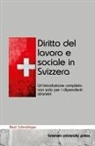 Beat Schmidinger - Diritto del lavoro e sociale in Svizzera