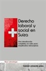 Beat Schmidinger - Derecho laboral y social en Suiza