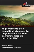 Amirali Abbasi, Jaber Jahanbin Sardroodi - Miglioramento delle capacità di rilevamento degli ossidi di azoto e dell'ammoniaca da parte del TiO2