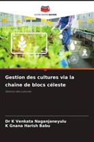 K Gnana Harish Babu, K. Gnana Harish Babu, Dr K Venkata Naganjaneyulu, K. Venkata Naganjaneyulu - Gestion des cultures via la chaîne de blocs céleste