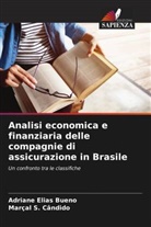 Adriane Elias Bueno, Marçal S. Cândido - Analisi economica e finanziaria delle compagnie di assicurazione in Brasile