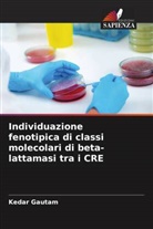 Kedar Gautam - Individuazione fenotipica di classi molecolari di beta-lattamasi tra i CRE