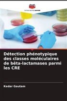 Kedar Gautam - Détection phénotypique des classes moléculaires de bêta-lactamases parmi les CRE