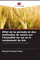Narayan Prasad Tiwari - Effet de la période et des méthodes de semis sur l'humidité du sol et le rendement du blé
