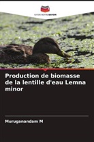 Muruganandam M - Production de biomasse de la lentille d'eau Lemna minor