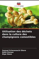 Edith Elenwo, Ekpe Ibiam, Samuel Echezonachi Okere - Utilisation des déchets dans la culture des champignons comestibles