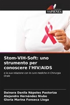 Gloria Marina Fonseca Lloga, Alejandro Hernández Niubo, Dainara Danila Nápoles Pastoriza - Stom-VIH-Soft: uno strumento per conoscere l'HIV/AIDS