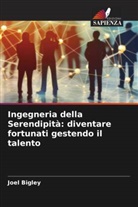 Joel Bigley - Ingegneria della Serendipità: diventare fortunati gestendo il talento