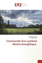 Toufik Amieur, Abdelhamid Djari - Commande d'un système électro-énergétique