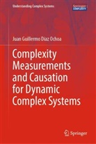 Juan Guillermo Diaz Ochoa - Complexity Measurements and Causation for Dynamic Complex Systems