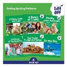 Phonic Books - Phonic Books Lift Off Readers Ending Spelling Patterns