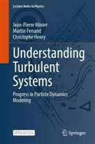 Martin Ferrand, Christo Henry, Christophe Henry, Jean-Pierre Minier - Understanding Turbulent Systems