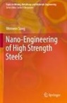 WenWen Song - Nano-Engineering of High Strength Steels