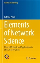 Antonio Zinilli - Elements of Network Science