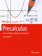 Mehdi Rahmani-Andebili - Precalculus