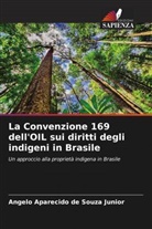 Angelo Aparecido de Souza Junior - La Convenzione 169 dell'OIL sui diritti degli indigeni in Brasile