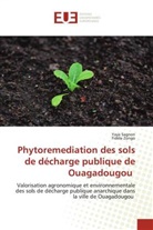 Yaya Sagnon, Fidèle Zongo - Phytoremediation des sols de décharge publique de Ouagadougou
