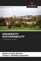 Carlos A. Mendoza Jacomino, Monica Torres Barrios - UNIVERSITY SUSTAINABILITY
