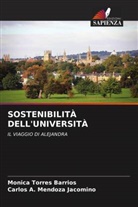 Carlos A. Mendoza Jacomino, Monica Torres Barrios - SOSTENIBILITÀ DELL'UNIVERSITÀ