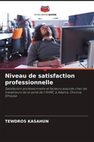 TEWDROS KASAHUN - Niveau de satisfaction professionnelle