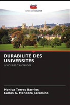 Carlos A. Mendoza Jacomino, Monica Torres Barrios - DURABILITÉ DES UNIVERSITÉS