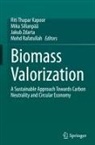 Riti Thapar Kapoor, Mohd Rafatullah, Mika Sillanpää, Jakub Zdarta, Jakub Zdarta et al - Biomass Valorization
