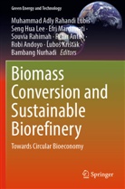 Robi Andoyo, Petar Antov, Seng Hua Lee, ¿Ubo¿ Kri¿¿ák, L'ubos Kristák, Seng Hua Lee... - Biomass Conversion and Sustainable Biorefinery