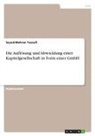 Seyed-Mehran Yussufi - Die Auflösung und Abwicklung einer Kapitelgesellschaft in Form einer GmbH
