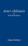 Adam Baltieri - Aster chilensis