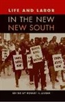 Robert H. (EDT) Zieger, Robert H Zieger - Life and Labor in the New New South