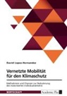 David Lopez-Hernandez - Vernetzte Mobilität für den Klimaschutz