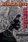 Anthony Russell Jerry - Blackness in Mexico