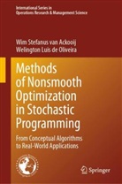 Welington L de Oliveira, Welington Luis de Oliveira, Wim Stefanus van Ackooij - Methods of Nonsmooth Optimization in Stochastic Programming