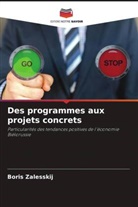 Boris Zalesskij - Des programmes aux projets concrets