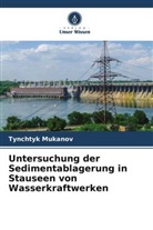 Tynchtyk Mukanov - Untersuchung der Sedimentablagerung in Stauseen von Wasserkraftwerken
