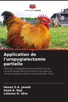 Lokman H. Idris, Hasan S. A. Jawad, Hasan S.A. Jawad, Saad A. Naji - Application de l'uropygialectomie partielle