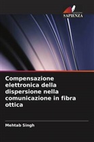 Mehtab Singh - Compensazione elettronica della dispersione nella comunicazione in fibra ottica