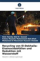 Mohamed El-Menshawi Hussein Shalabi, Hala Hamdy Abd El- Gawad, Mostafa Mohammed Abd-All, Fatma Mostafa Mohammed Abd-Allah - Recycling von El-Dekhaila-Eisenoxidabfällen und Reduktion mit Wasserstoff