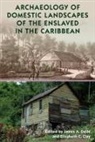 Elizabeth C Clay, Elizabeth C. Clay, James A Delle, James A. Delle - Archaeology of Domestic Landscapes of the Enslaved in the Caribbean