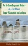 Georgia L Fox - An Archaeology and History of a Caribbean Sugar Plantation on Antigua