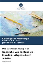 Kelizângela N Albuquerque, Kelizângela N. Albuquerque, P F, José Thales P. Ferreira, Cristina R B Silva, Cristina R. B. Silva - Die Wahrnehmung der Geografie von Santana do Mundaú - Alagoas durch Schüler