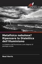 Neal Harris - Metafisica nebulosa? Ripensare la Dialettica dell'Illuminismo